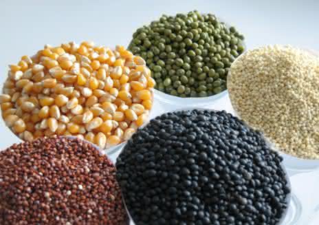 EU-Projekt GlutenFree: Glutenfrei und lecker