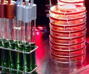 News: VDI-Expertenforum: Trends bei der Biologischen Sicherheit und im Gentechnikrecht