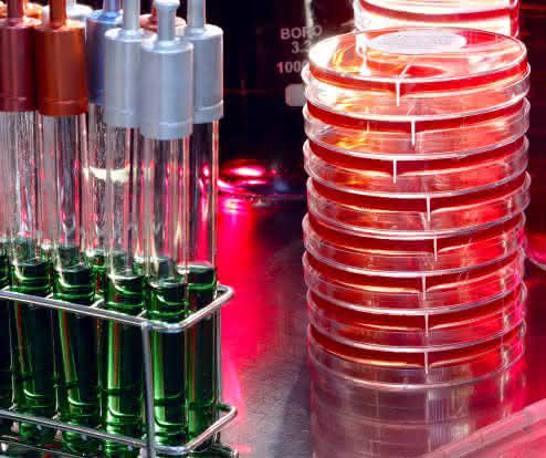 News: VDI-Expertenforum: Trends bei der Biologischen Sicherheit und im Gentechnikrecht
