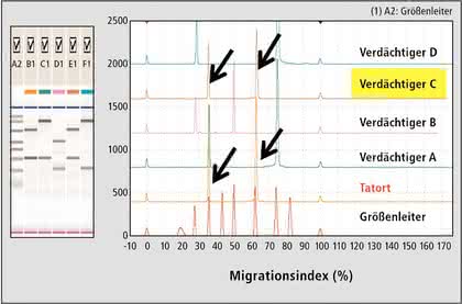 Elektrophorese-System MCE-202 MultiNA: Forensische Genotypisierung mit Hilfe von PCR und Mikrochipelektrophorese