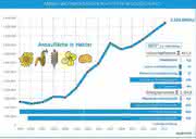 Trends: Energiepflanzen-Fläche steigt Trends: Energiepflanzen-Fläche steigt