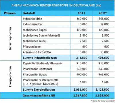 Trends: Energiepflanzen-Fläche steigt