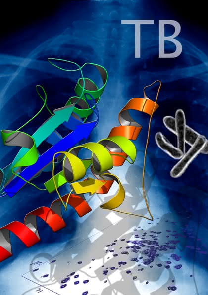 Life Sciences Innovations: Den Tricks der Tuberkulose-Bakterien auf der Spur: Struktur und Dynamik eines "Helfer-Proteins" aufgeklärt