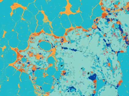 Spektroskopie: 30 Jahre EDS-Analytik in Berlin Spektroskopie: 30 Jahre EDS-Analytik in Berlin