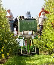 Antriebstechnik: Den Apfel vor Augen