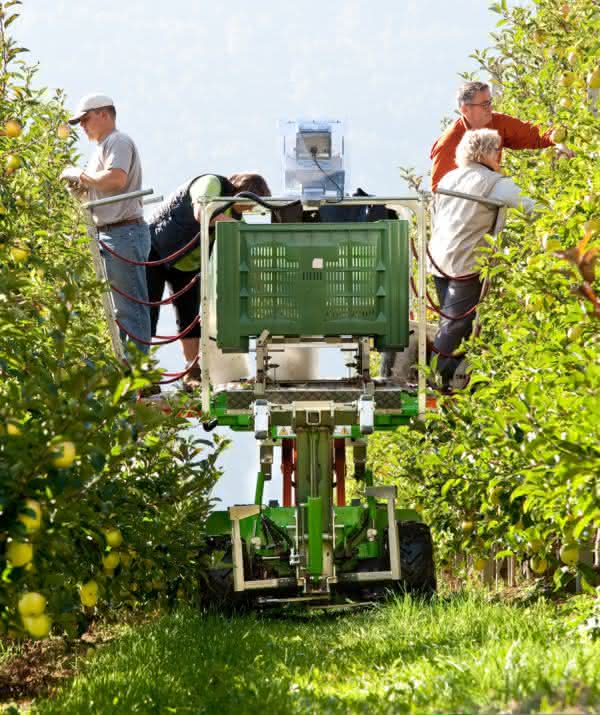 Antriebstechnik: Den Apfel vor Augen Antriebstechnik: Den Apfel vor Augen