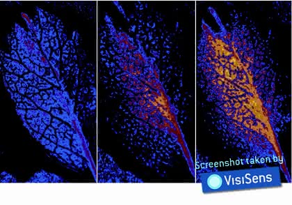 News: Wettbewerb Sauerstoff-Visualisierung