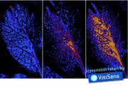 News: Wettbewerb Sauerstoff-Visualisierung