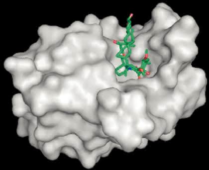 Life Sciences Innovations: Münchner Biotech-Cluster m4