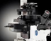 Life Sciences Innovations: Behält bei Aufnahmen  automatisch die Scharfeinstellung