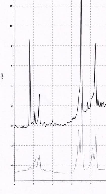 Der HPLC-Tipp im Juni: Säule umdrehen - wirklich sinnvoll?