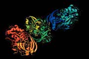 Spektroskopie: Enzyme