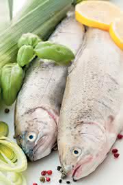 Life Sciences Innovations: Pflanzenschutzmittel im Fisch?