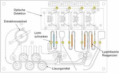 Micro-Array-Handling: Mykotoxine in Tierfutter