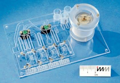 Micro-Array-Handling: Mykotoxine in Tierfutter