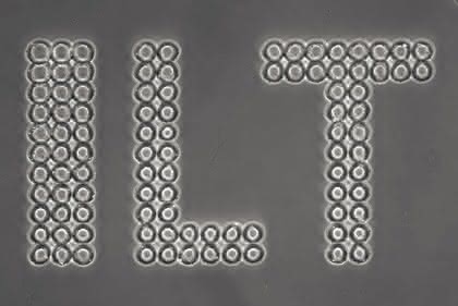 Micro-Array-Handling: Neues Herstellverfahren  für Microarray-Chips