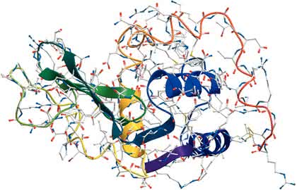 Micro-Array-Handling: Proteine und Enzyme  in Therapie und Diagnostik