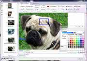 Produkt-News: Neueste Innovation von Pragmatis: Fotoeditor für LIMS