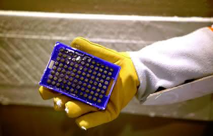 News: Führende europäische Biobank berichtet über Probenaufbewahrung