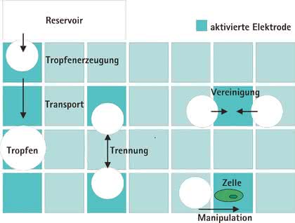 Elektrowettingsysteme: Tropfenbasiertes Flüssigkeitshandling Elektrowettingsysteme: Tropfenbasiertes Flüssigkeitshandling