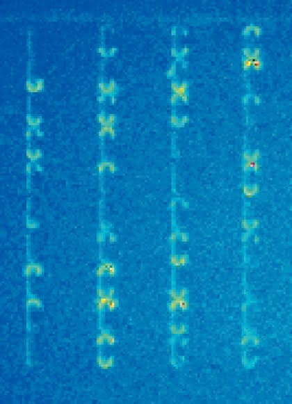 DNA-Trennung im Mikrofluidikchip: DNA-Trennung  im Mikrofluidikchip