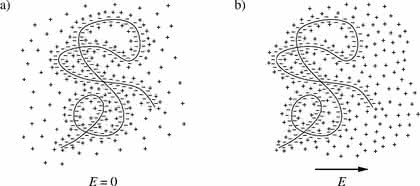 DNA-Trennung im Mikrofluidikchip: DNA-Trennung  im Mikrofluidikchip