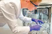 Labortechnik: Reinigung von Laborglasgeräten