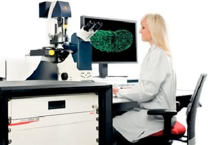 Mikroskopiesystem TCS STED CW: STED-Mikroskop für Zellforschung