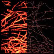 Labortechnik: Im Zeichen von  Superresolution