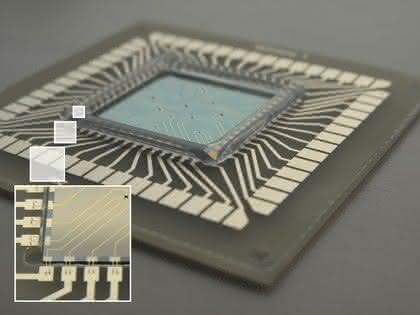 Life Sciences Innovations: Auf Dynamik setzen