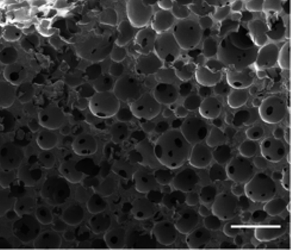 News: PS durch Polymerisation geschäumter Emulsionen