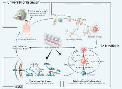 Life Sciences Innovations: Regenerative Medizin: