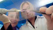 Life Sciences: Blutgefäße aus  dem Drucker