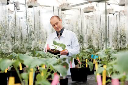 Life Sciences Innovations: Nachwachsende Rohstoffe  ergänzen natürliche Ressourcen: