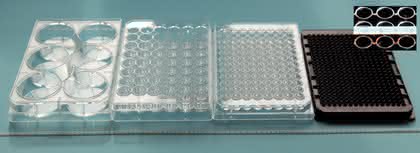 System pipe-based-bioreactors: pipe based bioreactors