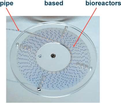 System pipe-based-bioreactors: pipe based bioreactors