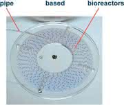 System pipe-based-bioreactors: pipe based bioreactors