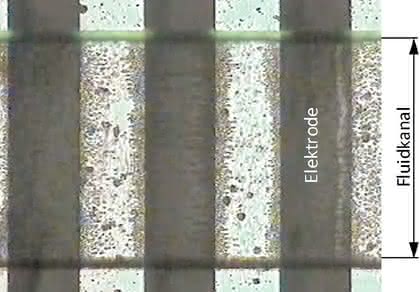 System pipe-based-bioreactors: pipe based bioreactors