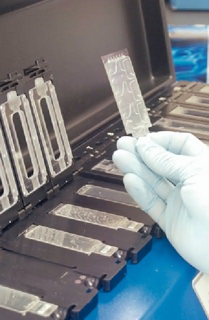 Microarrays der NimbleGen-Produktfamilie: Für große Datenmengen