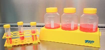 Bioreaktor TubeSpin: Bioreaktor, auch für Scale-up Bioreaktor TubeSpin: Bioreaktor, auch für Scale-up