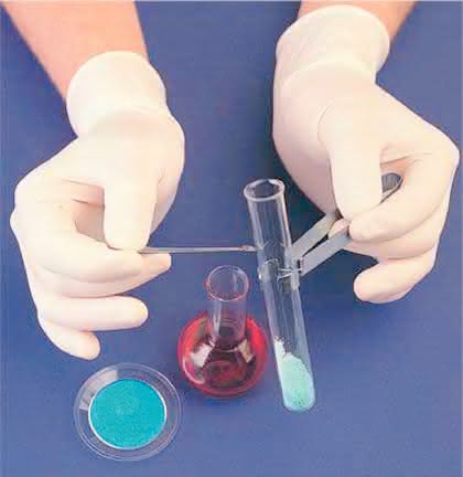 Life Sciences Innovations: Latex aus Löwenzahn