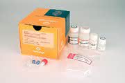 Kits zur Nukleinsäureaufreinigung: Nukleinsäure-Aufreinigung aus FFPE-Gewebe