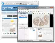 News: Bildanalyse-Software für die digitale Pathologie