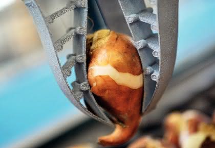 Handhabungstechnik: Griff der Flosse
