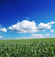Wirtschaft + Unternehmen: Datenaustausch: Lieferantenintegration per Cloud