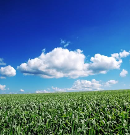 Wirtschaft + Unternehmen: Datenaustausch: Lieferantenintegration per Cloud