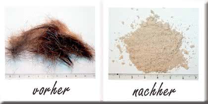 Schwingmühle MM 400: Was Haare verraten