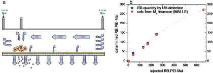 Polymeranalytik: Anwendung von AF4-MALLS