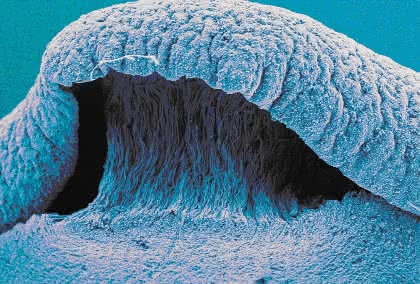 News: Den Nanokosmos sichtbar machen