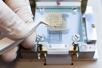 News: Biochip mit Thüringer Foschungspreis ausgezeichnet